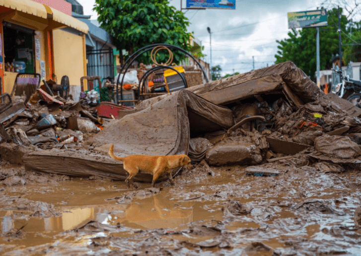 Ministerio de Salud emite alerta epidemiológica por  inundaciones en la Línea Noroeste