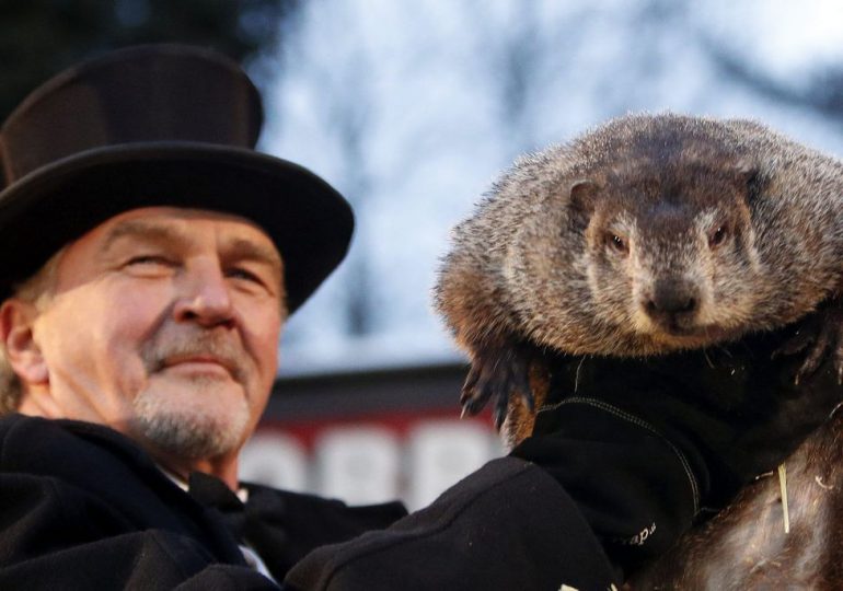 La marmota meteorológica predice otras seis semanas de invierno en Estados Unidos