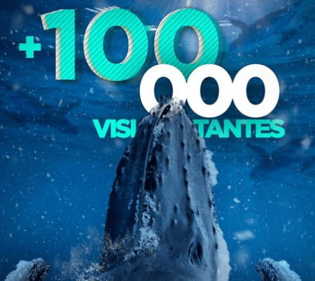 Culmina Temporada de Ballenas Jorobadas en Samaná con más 100 mil visitantes