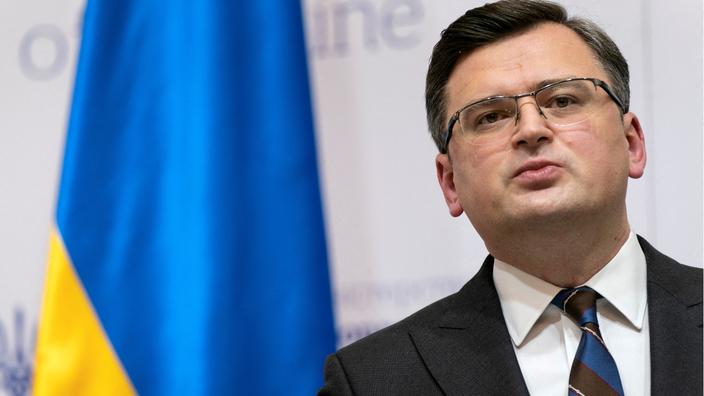 Ministro ucraniano dice que hay 20.000 voluntarios extranjeros para combatir a Rusia