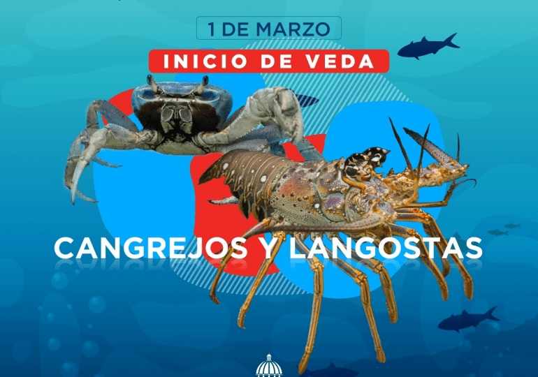Este primero de marzo inicia veda que prohíbe captura y comercialización de langostas y cangrejos