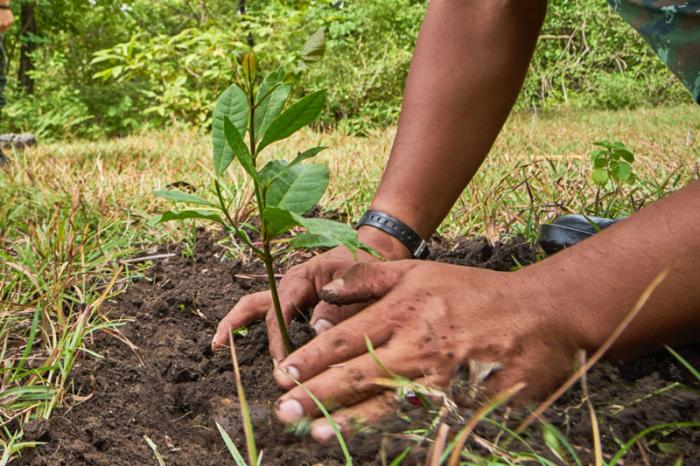 Royca Portorreal y la Asociación de Parceleros de Hato Dama y Los Montones realizan jornada de reforestación en el río Haina