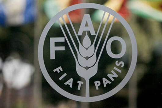 FAO: América Latina y el Caribe deben “asegurar y garantizar la seguridad alimentaria para la región y el mundo”
