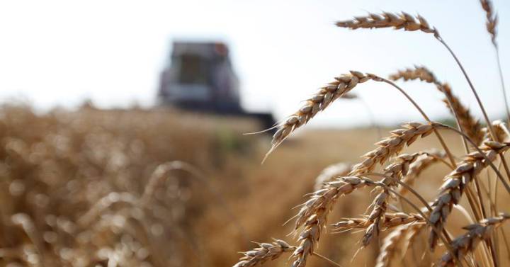 La guerra está inclinando al mundo a una catástrofe alimentaria