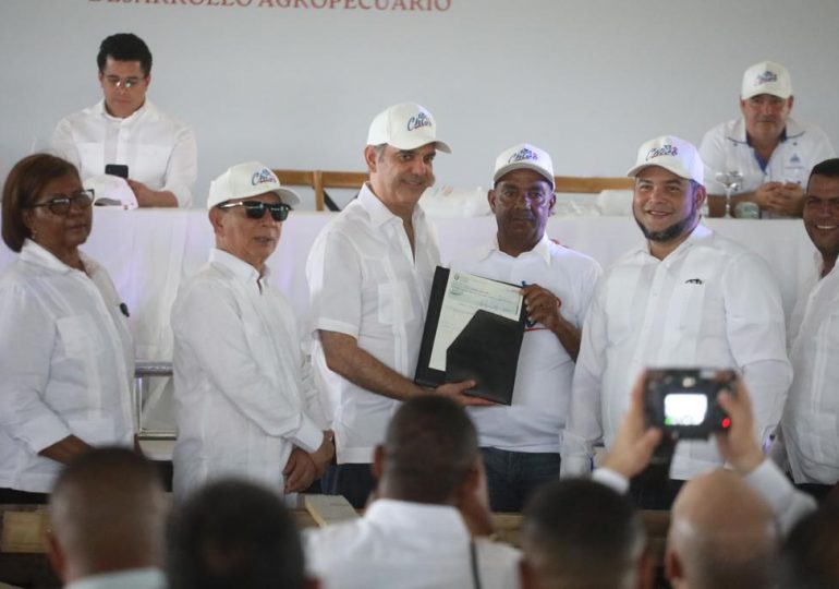 Abinader entrega RD$45 millones en créditos a 100 productores ovinocaprino en Pedernales