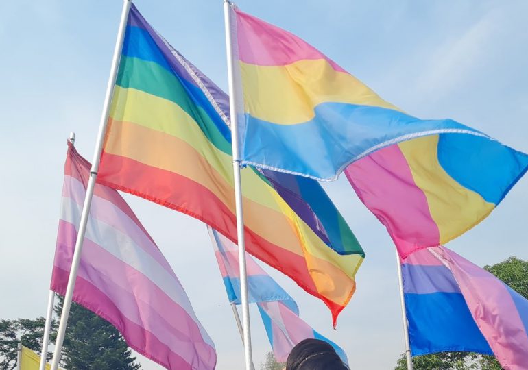 Vídeo| Organizaciones LGBTI exigen aprobación de un Código Penal inclusivo