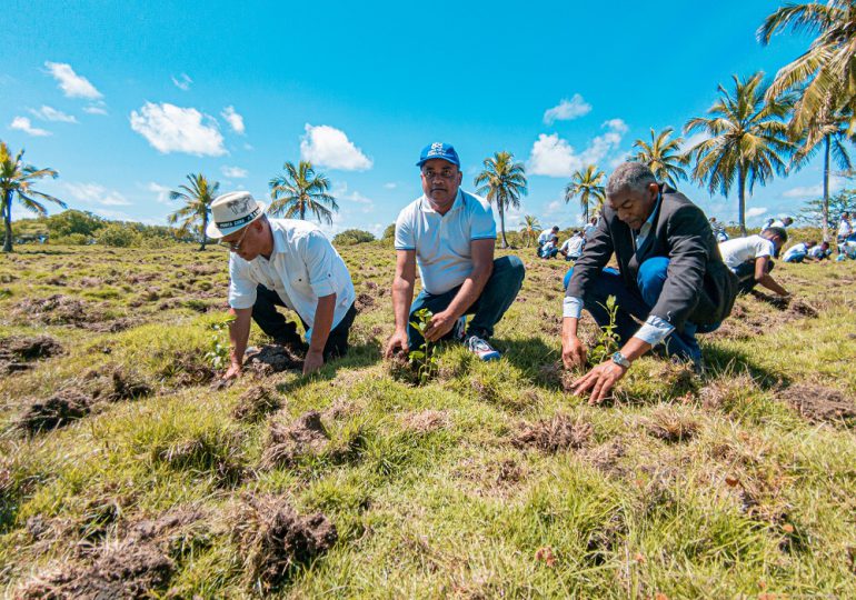 Procuraduría de Medio Ambiente lanza apadrinamiento de un área protegida en Bajos de Haina y siembra cientos de plantas de mangle