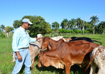 Conaleche ha prestado más de RD$223 millones a sector ganadero