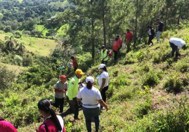 Por celebrarse hoy el Día Mundial del Medio Ambiente, en Jarabacoa siembran más de 4 mil árboles
