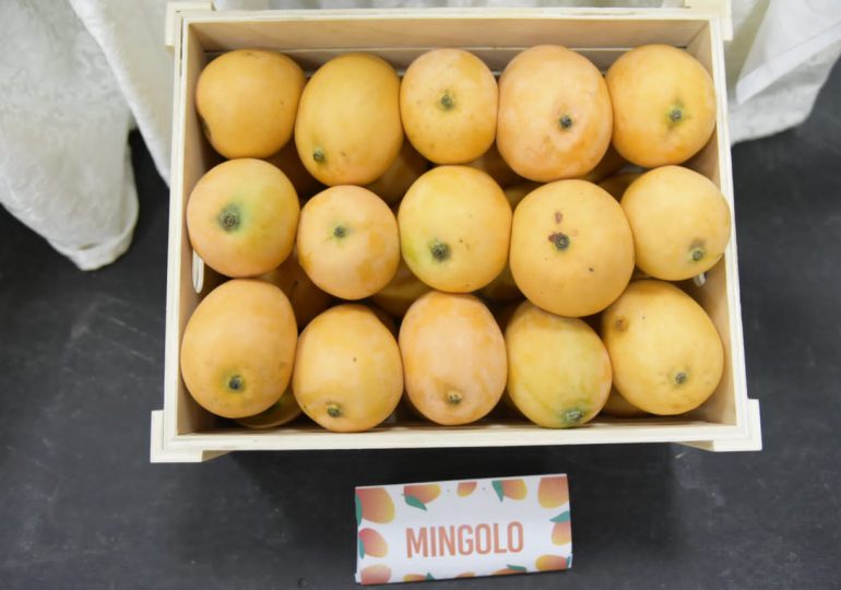 Ministerio de Agricultura busca duplicar producción de mango para exportación