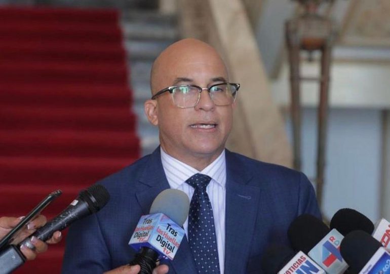 Autoridades dominicanas garantizan que en territorio nacional no operan bandas haitianas