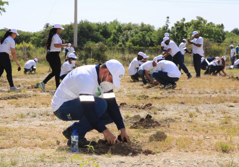 Punta Catalina inicia programa de reforestación