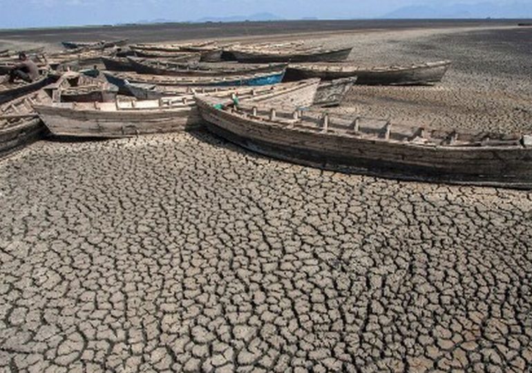 ONU pide "actuar" ya para evitar sequías desastrosas