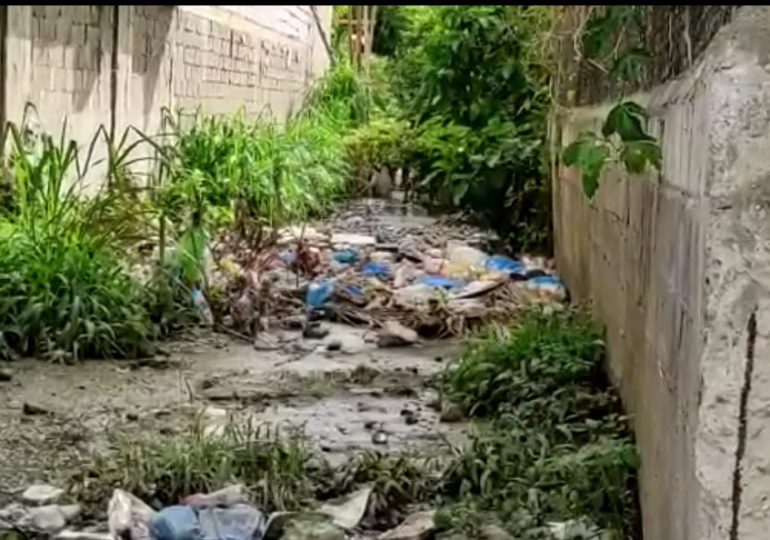 Reportan área contaminada en SFM; las autoridades no han hecho nada