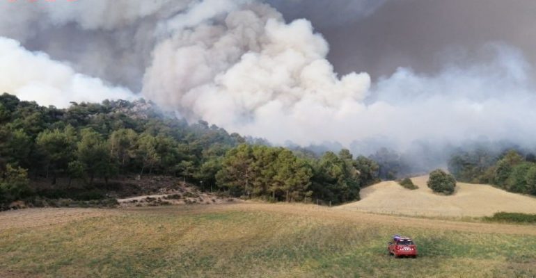 Miles de hectáreas arrasadas por los incendios forestales en España