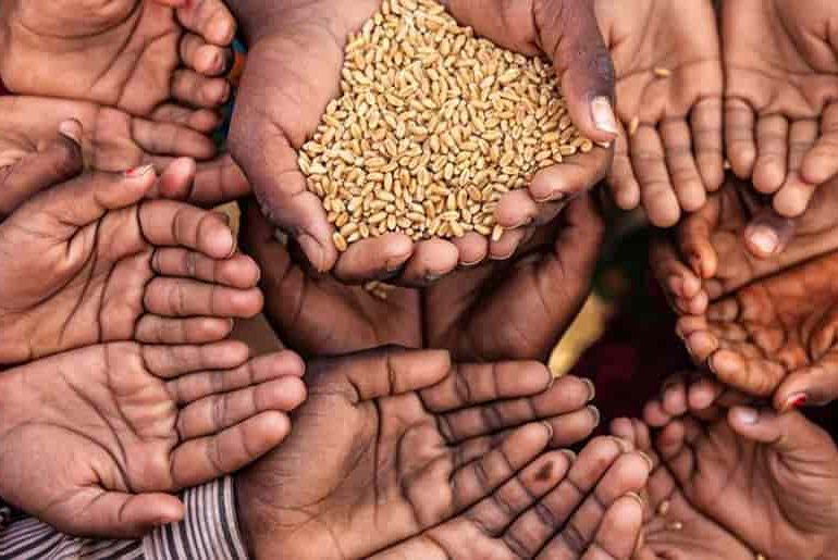 LA FAO advierte que "los más vulnerables pagarán más por menos" por subida de precios de alimentos
