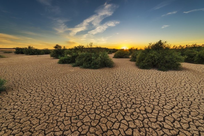 17 de junio: Día Mundial de Lucha contra la Desertificación y la Sequía