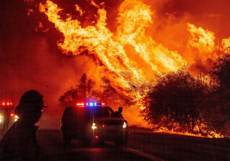 La superficie quemada por los incendios forestales en la UE superó a la de 2021