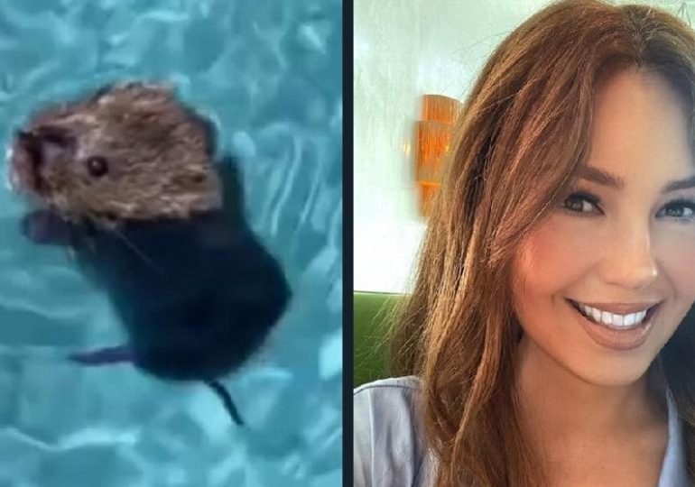 VIDEO | Thalía rescata a un ratón que se ahogaba en su piscina