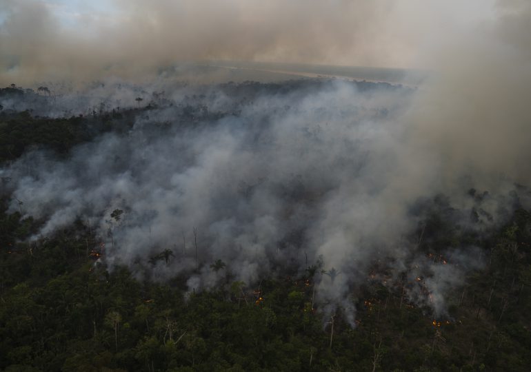 Deforestación récord en el primer semestre en la Amazonía brasileña