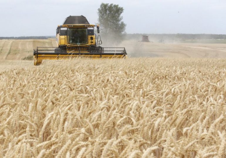 La compleja operación para sacar los cereales de Ucrania