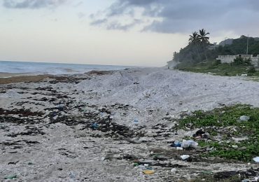 Haitianos depredan playa Paraíso de Barahona