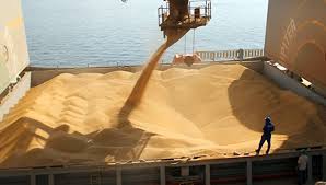 Ucrania espera reanudar exportaciones de grano "esta semana" pese a ataque ruso en puerto de Odesa