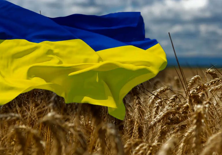 Un procedimiento complejo y costoso para sacar los cereales de Ucrania