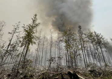 El humo de los incendios forestales de Rusia llega a Moscú