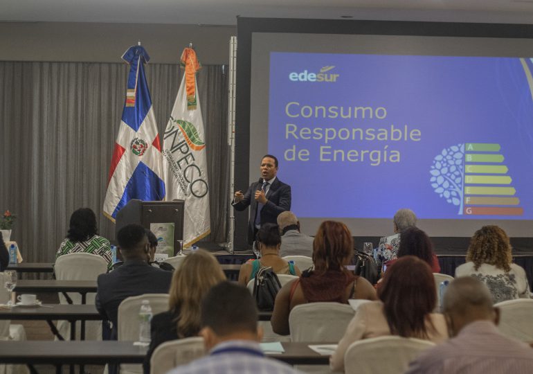 Edesur ha capacitado a 47,000 clientes en uso eficiente y ahorro de energía