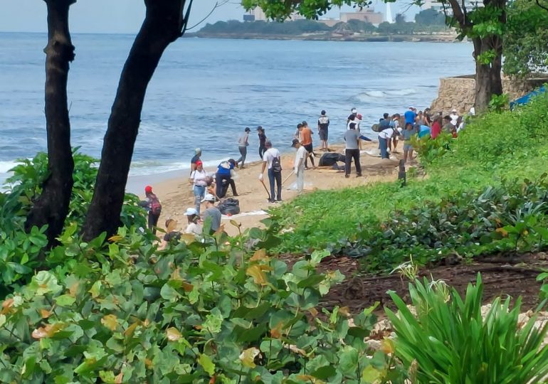Fundación realiza jornada de limpieza de la playa Las Tortugas