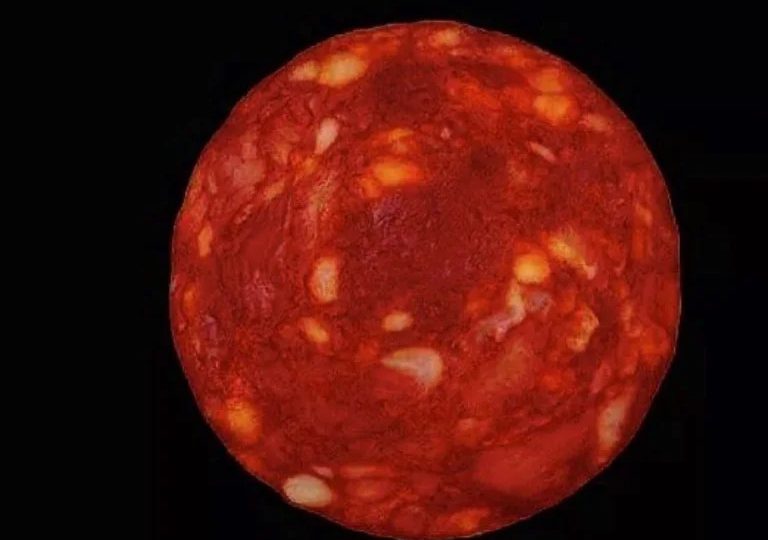 Destacado científico francés confunde la foto de un salami con un nuevo planeta