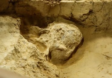 Encuentran un cráneo humano de casi un millón de años en China