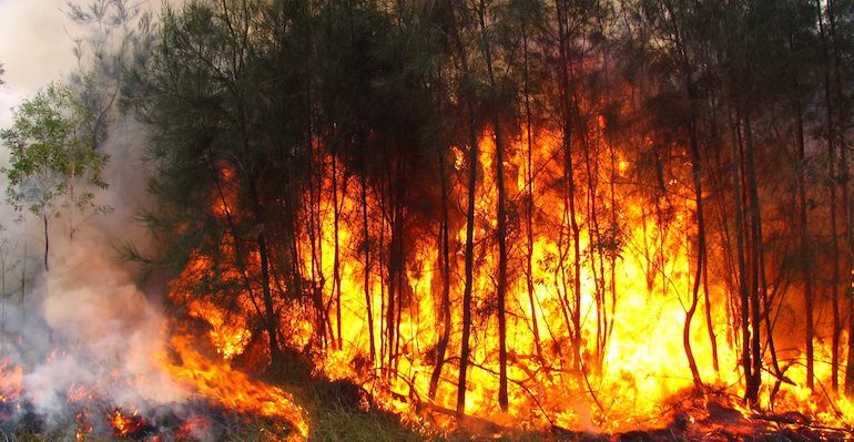 Ola de calor en California provoca incendios forestales