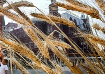 Putin dejó en tensión los precios del trigo