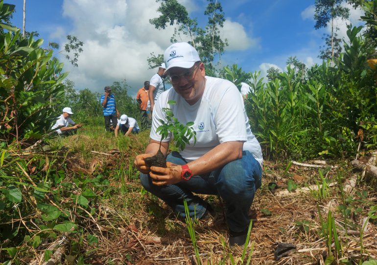 Reid & Compañía  apoya a Medio Ambiente con su programa Somos Verde