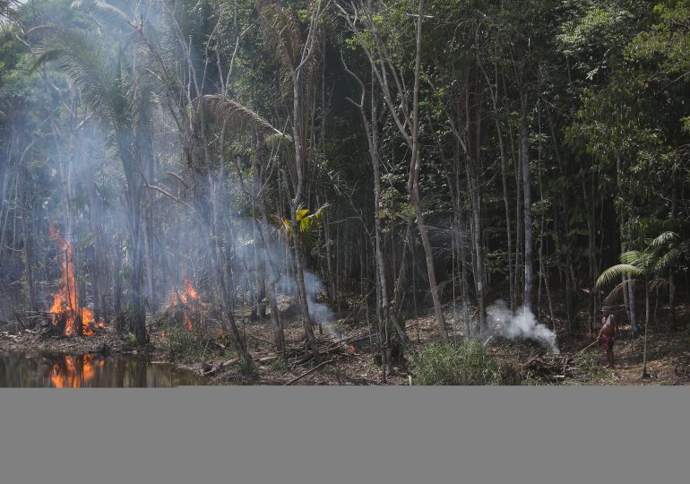 Deforestación en Amazonía brasileña registra récord para septiembre