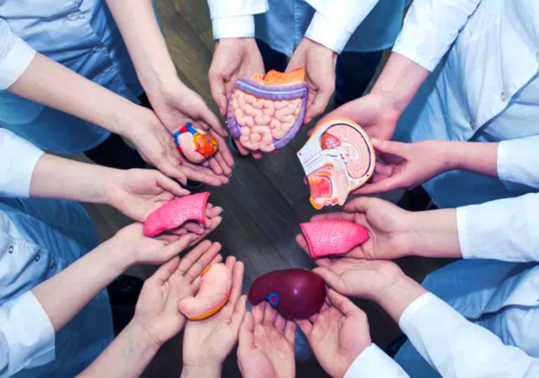 INCORT conmemora con logros día mundial de donantes de órganos y tejidos