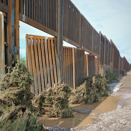 Ambientalistas de Mexico y EEUU defienden la vida animal afectada por muro fronterizo