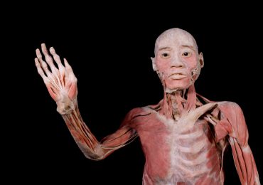 “BODIES: Cuerpos humanos reales”, gran éxito con miles de visitas en primeras semanas en RD