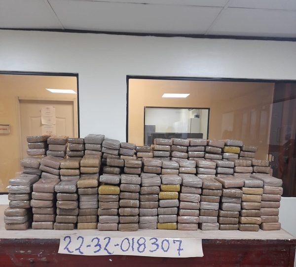 397 paquetes ocupados en Puerto Caucedo son positivos a cocaína