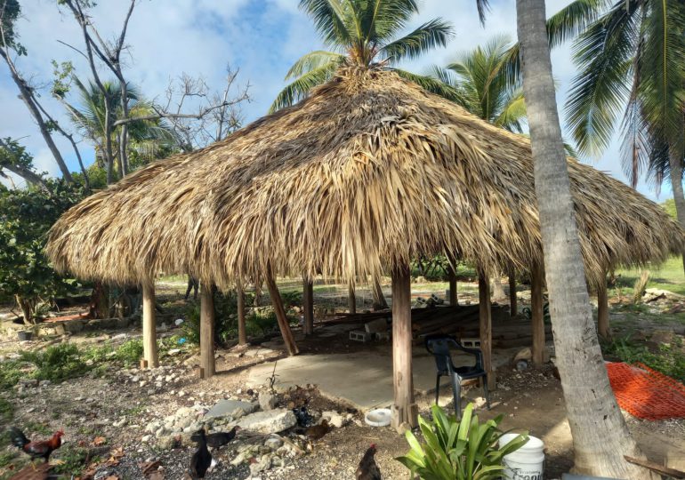 Asociaciones turísticas piden acelerar desalojo de ocupantes ilegales en playa Cabeza de Toro