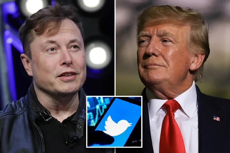 Elon Musk restableció la cuenta en Twitter del ex presidente de EEUU Donald Trump