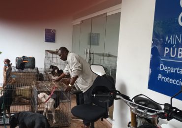La Proedemaren rescata del maltrato a 21 perros hacinados en casa de Arroyo Hondo