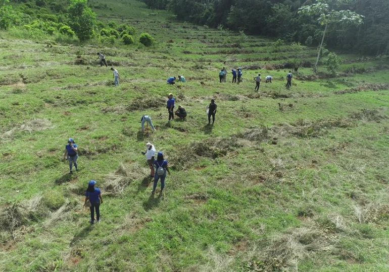 Este 2022 INDRHI reforestó en cuencas de ríos Yuna, Haina y Nizao