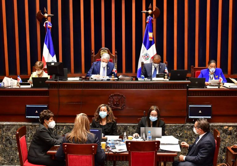 Senado aprueba en dos lecturas  la modificación a la Ley de Régimen Electoral