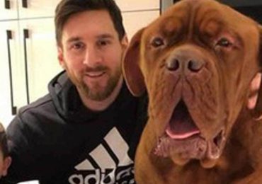VIDEO | "Hulk" el perro de Lionel Messi también es alabado por los argentinos