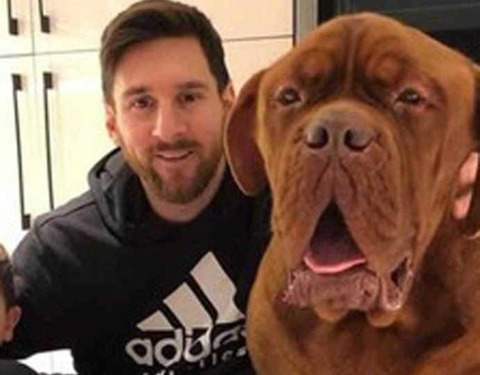 VIDEO | "Hulk" el perro de Lionel Messi también es alabado por los argentinos