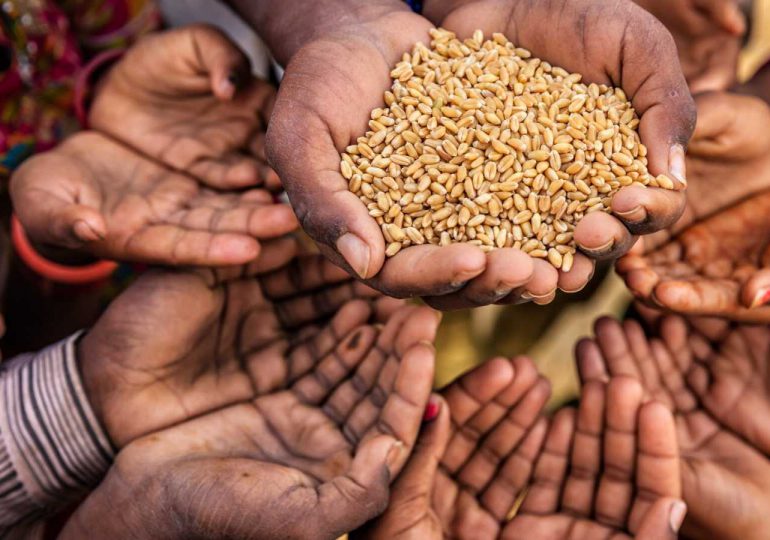 El nivel de hambre en África alcanzará un máximo histórico en 2023, advierte la ONU