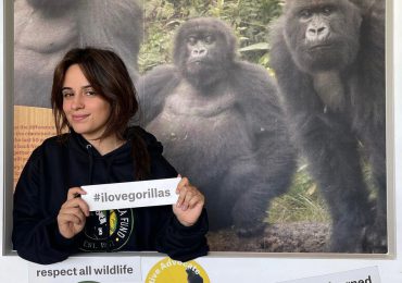 Camila Cabello se encuentra cara a cara con un gorila en Ruanda